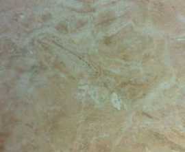 Плитка настенная Axima Непал Beige light