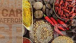 Декор настенный Face Spice Spice 5 TD422-D5
