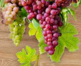 Панно настенное Face Vine Vine 1 TD429-P3-1