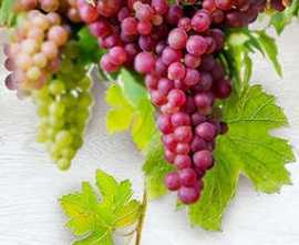 Панно настенное Face Vine Vine 2 TD429-P3-2