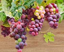 Панно настенное Face Vine Vine 1 TD429-P2-1