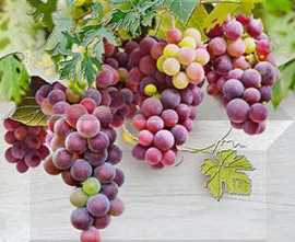Панно настенное Face Vine Vine 2 DD429-P2-2