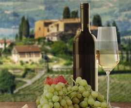 Панно настенное Face Wine map Wine map 2 DD425-P2-2