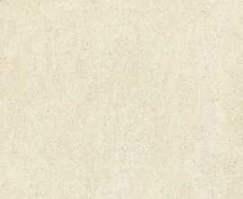 Керамогранит Enping Jingye Basaltina FBA60X601D Бежевый Матовый Rect 60x60