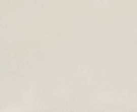 Керамогранит Baldocer Pulse Ivory Rect. 60x120