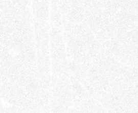 Декор напольный Vives Seine Corneille R Blanco