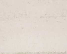 Плитка настенная Fabresa Ceramics Vita Beige 10x20