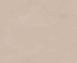 Керамогранит LCM Studio Taupe 60x120