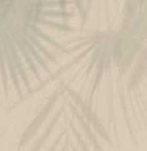 Керамогранит Laminam Gemini Flora Luce 100x300 2.5 мм