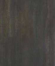 Керамогранит FAP Ceramiche Roma Gold Oxide Iron Matt R9 278x120