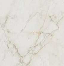 Керамогранит FAP Ceramiche Roma Gold Calacatta delicato brill 60х120