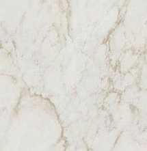 Плитка настенная FAP Ceramiche Roma Gold Calacatta delicato brillante fqcq 50х120