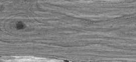Керамогранит Eurotile Oiled Black 20x120