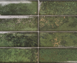 Керамогранит EL Molino Dream Green 30x60