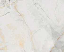 Декор керамогранит Vives Marblelous Erdek-R Pulido 59.3x59.3