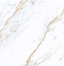 Керамогранит TerracottaPro Dominica White Glossy 60x120