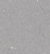 Керамогранит Simpolo Ceramics Fossil Stx Fossil Grey 3pc 59.8х119.8