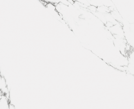 Керамогранит Royce Carrara Marmo Matt 60x60