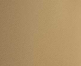 Керамогранит Settecento Aguas Plain Terracotta 90x90