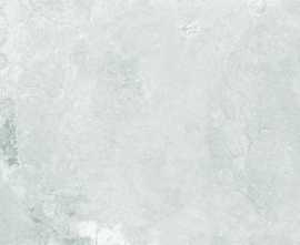 Керамогранит NT Ceramic Argillite Promenade Smoke Matt Punch 60x120