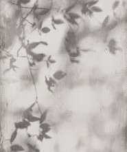 Керамогранит Flaviker Art Walls Shadow Nat R 120x280
