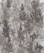 Керамогранит Flaviker Art Walls Landscape Nat R 120x280