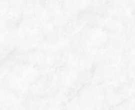 Керамогранит Pardis Ceramic Pazh Belonia 176541 Polished 60x120