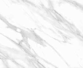 Керамогранит PROGRES Calacatta Grey Glazed Gloss 120x60