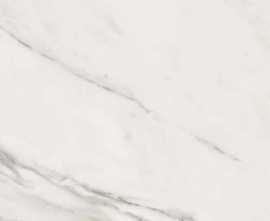 Керамогранит DUNE Calacatta Superwhite Rec 120