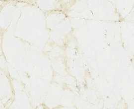 Керамогранит Coliseumgres Canova White Ret 60x60