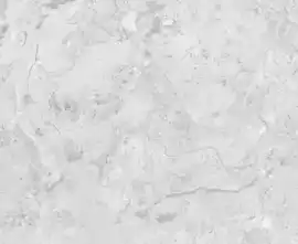 Керамогранит Infinity Ceramic Elegance