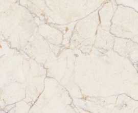 Керамогранит PrimaVera Elise Beige Beige Carving 60x60