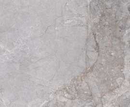 Керамогранит Pieza Ceramica Fior Di Bosco Grey 60х60