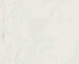 Керамогранит Emil Ceramica Forme Bianco Assoluto Silktech 9mm 80x80