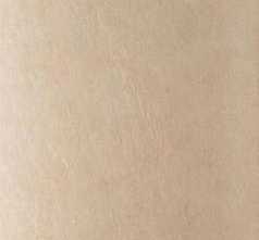 Керамогранит Fakhar Hagen 8024 Beige 60x120