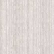 Керамогранит Fakhar Karpi 59.6x119.6 61w1216a Light Grey Simple Decore