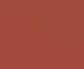 Керамогранит Nanda Tiles Kompas Rosset Red 20х20