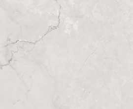 Керамогранит PrimaVera Miracle Silver Carving 60x60