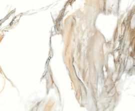 Керамогранит Casati Ceramica Mix Indian Statuario Carving 60x60