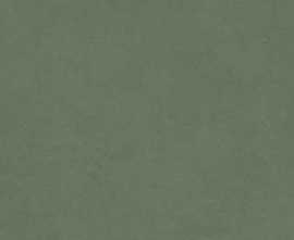 Керамогранит Art&Natura Ceramic Moderno Stucco Verde Matt 60x120