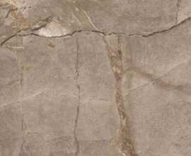 Керамогранит Embito Granito Patrin GS Brown 60x120 Golden Glossy Carving