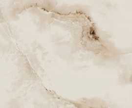 Керамогранит PROGRES Silk Onix Gloss 60x60