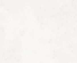 Керамогранит Infinity Ceramic Super White Carving 60x120