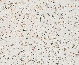 Керамогранит Pamesa Terrazzo Terra 60x60