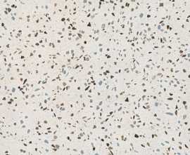 Керамогранит Pamesa Terrazzo Blu 60x60