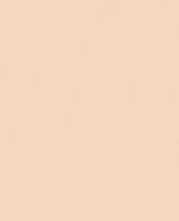 Плитка настенная FAP Ceramiche True Color Talc 50x120 Matt RT