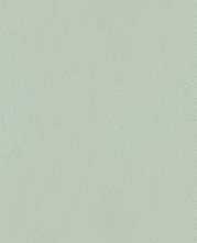 Плитка настенная FAP Ceramiche True Color Matcha 50x120 Matt RT