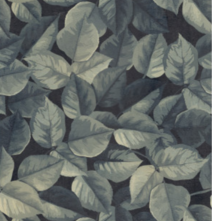 Керамогранит ABK Wide and Style Mini Foliage ret