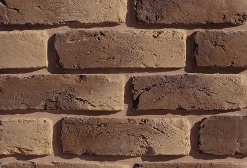Leonardo Stone Декоративный кирпич Плоскость Орлеан 444 25-28x7-8x1,7