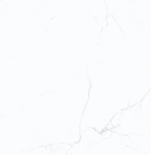 Керамогранит Terramic Tiles Frost Whisper Карвинг матовый 60x120